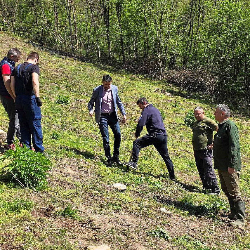 ЗВОРНИК, 5. АПРИЛА /СРНА/ - На локалитету Ковачевац у зворничкој мјесној заједници Челопек засађено је 1.250 садница храста китњака у оквиру кампање "Април-мјесец чистоће".