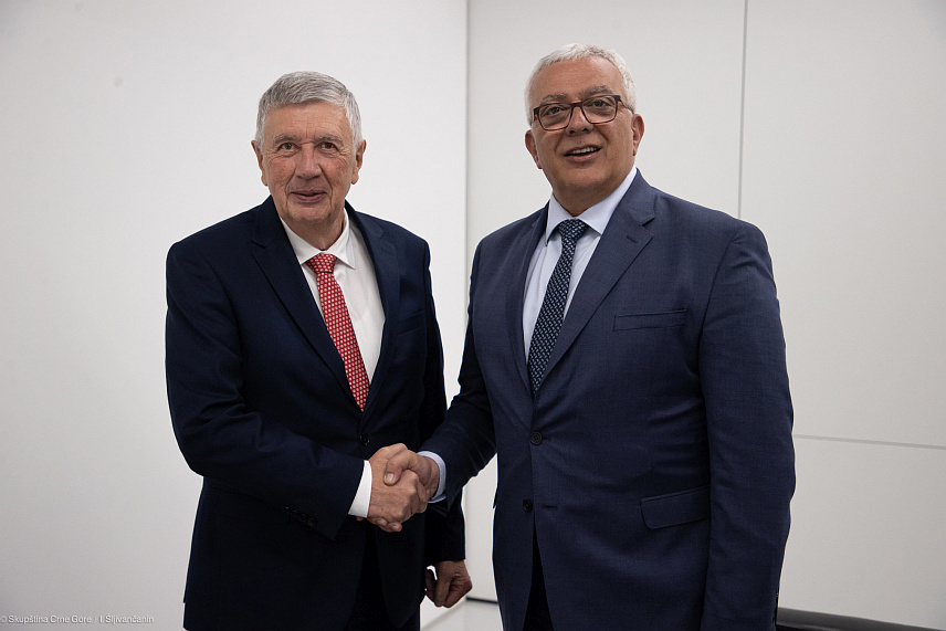 ПОДГОРИЦА, 15. МАЈА /СРНА/ - Предсједник Скупштине Црне Горе Андрија Мандић током сусрета у португалском граду Брага са предсједавајућим Представничког дома Парламентарне скупштине БиХ Небојшом Радмановићем.