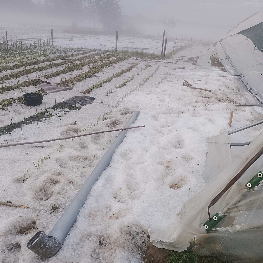 НОВИ ГРАД, 20. МАЈА /СРНА/ - У насељу Равнице код Новог Града невријеме је причинило огромну штету на стамбеним и помоћним објектима, усјевима и путевима.