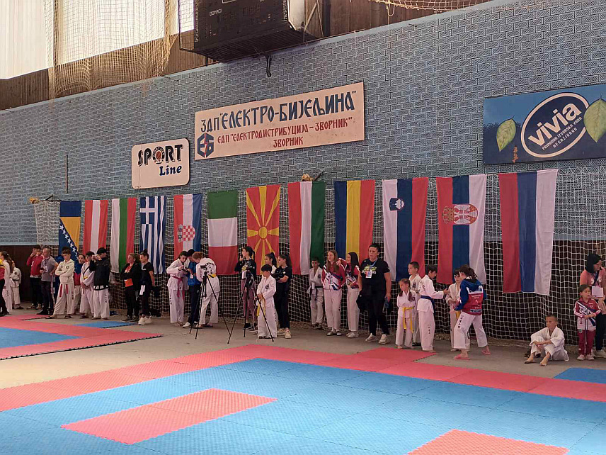 ЗВОРНИК, 25. МАЈА /СРНА/ - Међународно такмичење у Таеквондоу "Гранд при Српски соко", које се одржава данас у Зворнику, окупило је око 500 такмичара из 11 земаља.