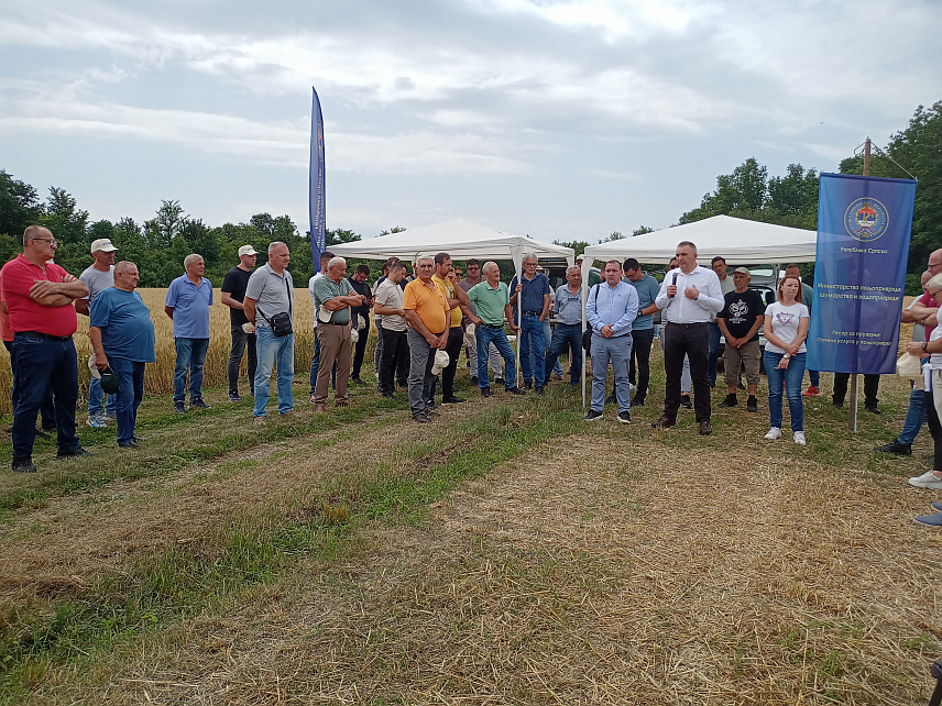 ШАМАЦ, 10. ЈУНА /СРНА/ - Министар пољопривреде, шумарства и водопривреде Републике Српске Саво Минић отворио је данас манифестацију "Дани поља стрних жита" на којој је представљено више од 52 сорте жита са преко 15 сјеменарских кућа.
