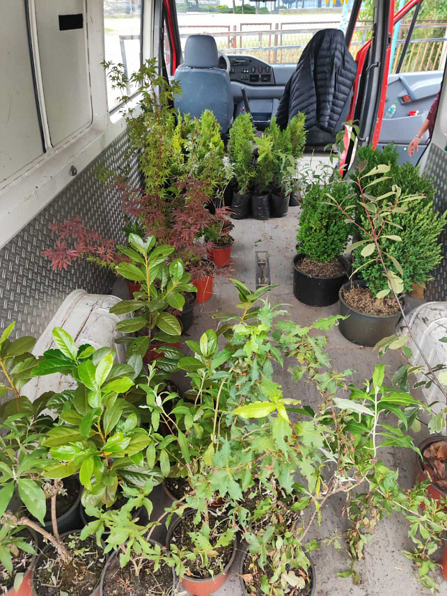 НОВИ ГРАД, 4. ЈУНА /СРНА/ - У Новом Граду ће сутра, поводом Свјетског дана заштите животне средине, бити засађено 150 садница дрвећа и украсног биља, у организацији републичке организације Младих социјалдемократа.