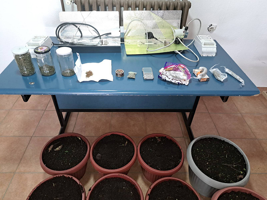 ПРИЈЕДОР, 5. ЈУНА /СРНА/ - У акцији "Плантажа 2024" полицијски службеници у Козарској Дубици ухапсили су лице из те општине чији су иницијали С.З, саопштено је данас из Полицијске управе Приједор.