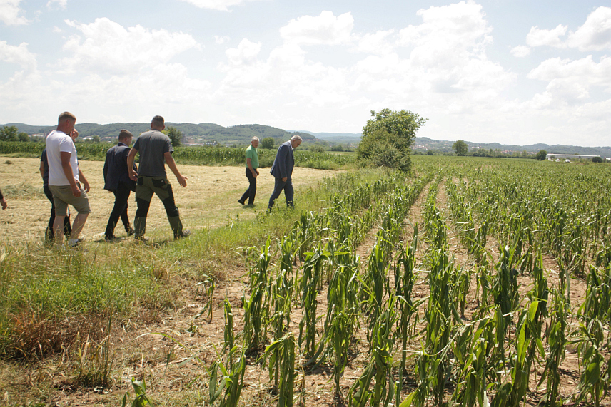 МОДРИЧА, 6. ЈУНА /СРНА/ - Министар пољопривреде, шумарства и водопривреде Републике Српске Саво Минић током посјете општини Вукосавље у којима је недавно невријеме начинило штету на пољопривредним усјевима.