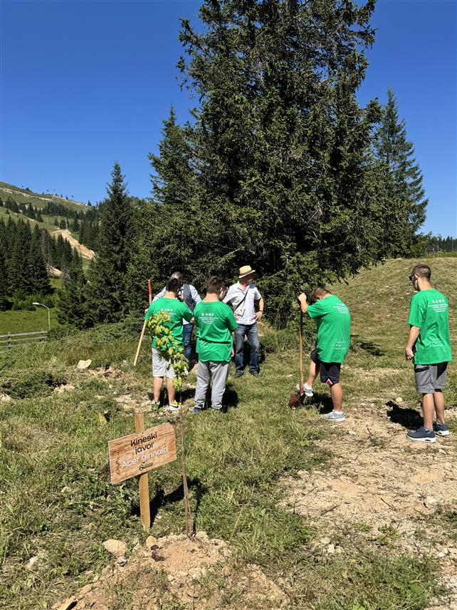 ЈАХОРИНА, 14. ЈУЛА /СРНА/ - Дјеца из Даун синдром центра из Бањалуке данас су са директором Олимпијског центра "Јахорина" Дејаном Љевнаићем засадила шест садница јавора на Јахорини.