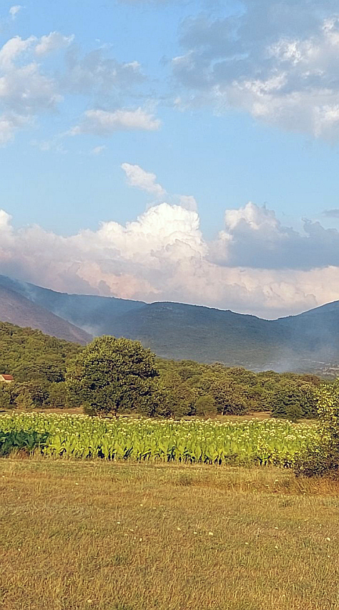 ЉУБИЊЕ, 20. ЈУЛА /СРНА/ - Хеликоптер Хеликоптерског сервиса и даље гаси пожар на подручју села Убоско код Љубиња, гдје су од ватре спасене куће, рекао је Срни начелник општине Љубиње Стево Драпић.