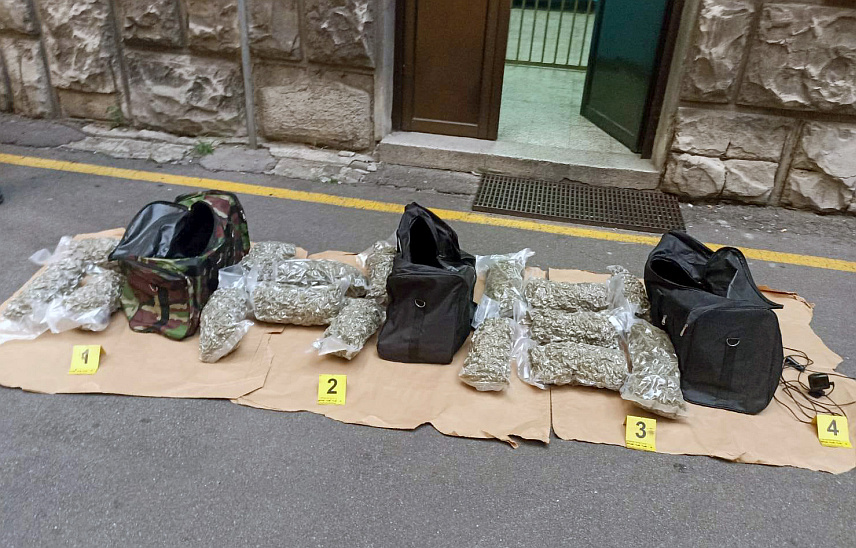 БЕОГРАД, 23. ЈУЛА /СРНА/ - Београдска полиција у сарадњи са Вишим тужилаштвом ухапсила је седам осумњичених за неовлаштену производњу и стављање у промет дрога и заплијенила око 20 килограма марихуане.