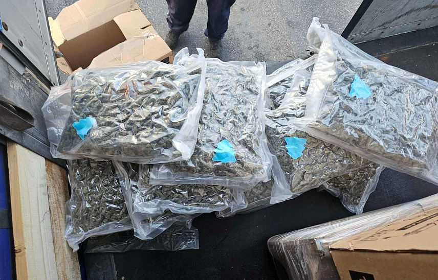 БЕОГРАД, 23. ЈУЛА /СРНА/ - Припадници Управе граничне полиције заплијенили су више од 28 килограма марихуане и у сарадњи са Полицијском управом у Сомбору и Вишим јавним тужилаштвом у овом граду ухапсили Н.Ђ. /47/ због неовлаштене производње и стављања у промет дрога.