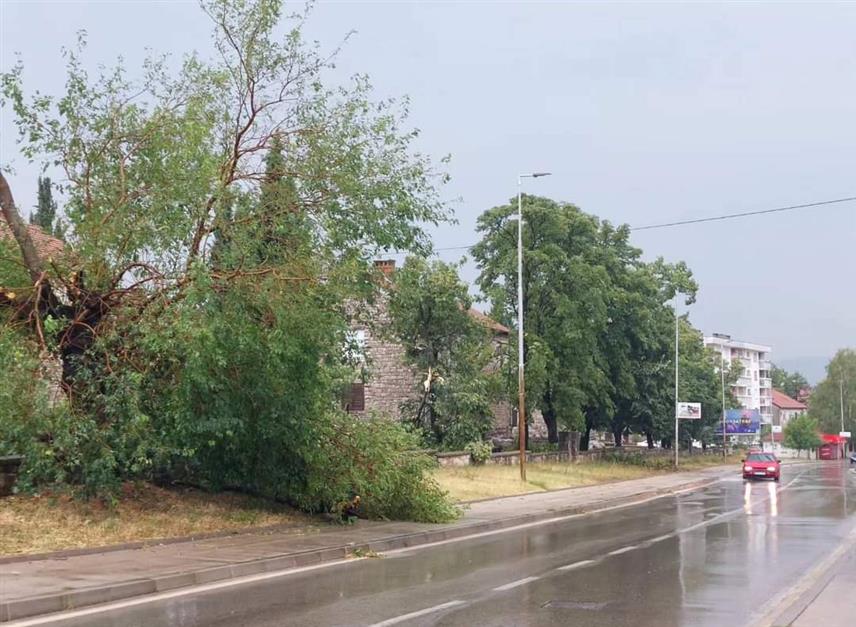 БИЛЕЋА, 24. ЈУЛА /СРНА/ - У невремену, које је послије подне захватило Билећу, оборено је више стабала и падале су цигле са кровова, а повријеђених није било.
