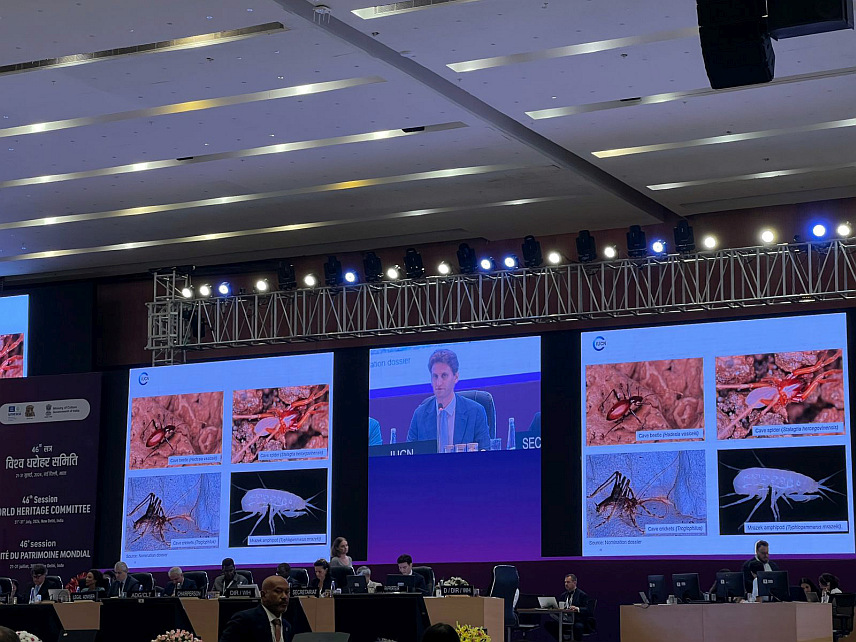 САРАЈЕВО, 26. ЈУЛА /СРНА/ - Пећина Вјетреница у општини Равно уврштена је на Унесков попис свјетске баштине, чиме је постала први самостални природни феномен из БиХ уврштен на свјетски попис заштићених споменика.