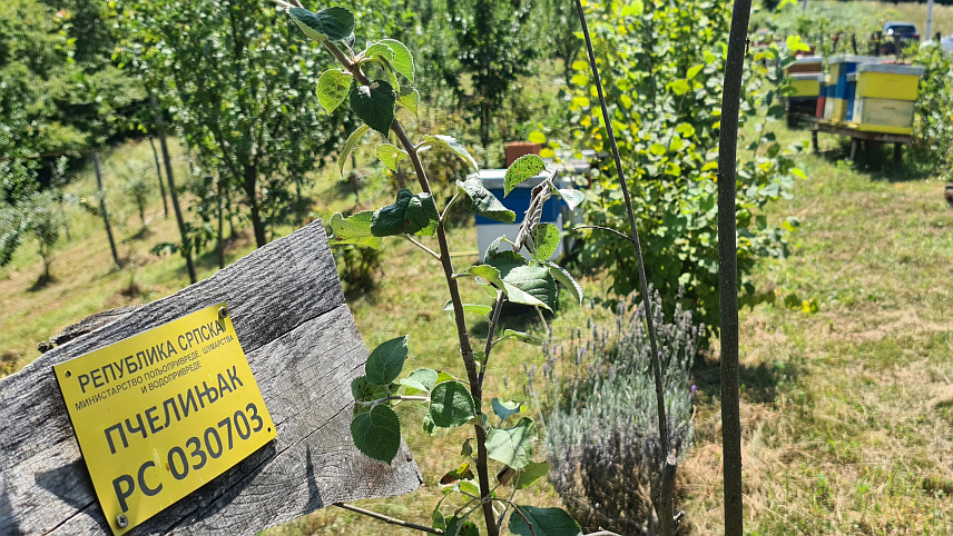 СТАНАРИ, 26. ЈУЛА /СРНА/ - На подручју Српске евидентирано је 105 органских произвођача и оних који су у фази конверзије, истакнуто је данас у Станарима гдје је организована манифестација "Дан органске производње Српске".
