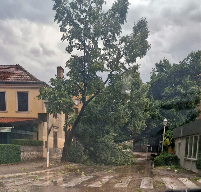 TРЕБИЊЕ, 2. ЈУЛА /СРНА/ - Tребиње је јутрос погодило олујно невријеме, а Оперативном центру Цивилне заштите пријављено је десетак пријава о штети.