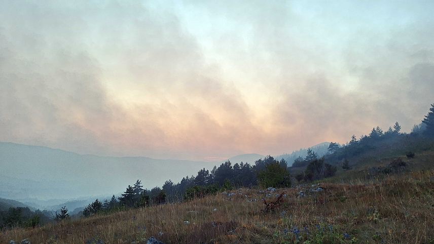 ДРВАР, 31. ЈУЛА /СРНА/ - Ватра се вечерас приближила кућама у Јарчишту у дрварском селу Пољице.