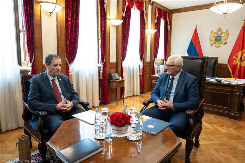 ПОДГОРИЦА, 3. ЈУЛА /СРНА/ - Амбасадор Израела у Црној Гори Јахел Вилан у раговору са предсједником црногорске Скупштине Андријом Мандићем.