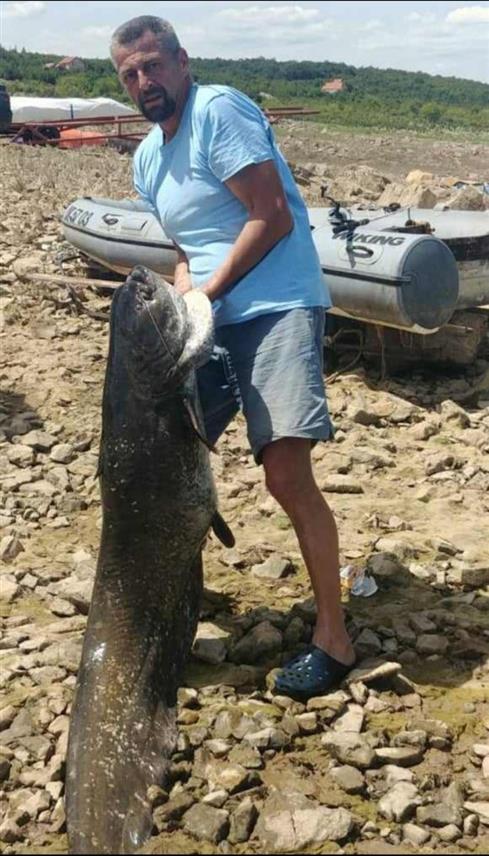 БИЛЕЋА, 8. ЈУЛА /СРНА/ - Tребињац Обрен Пујић уловио је данас сома тешког 58 килограма у Билећком језеру.