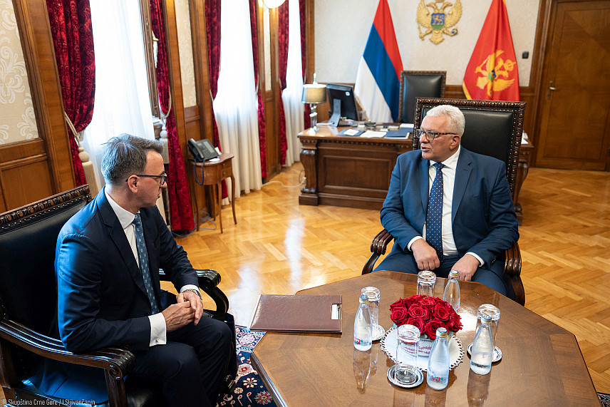 ПОДГОРИЦА, 9. ЈУЛА /СРНА/ - Предсједник Скупштине Црне Горе Андрија Мандић и амбасадор Руске Федерације у Црној Гори Владислав Маслеников на састанку у Подгорици.