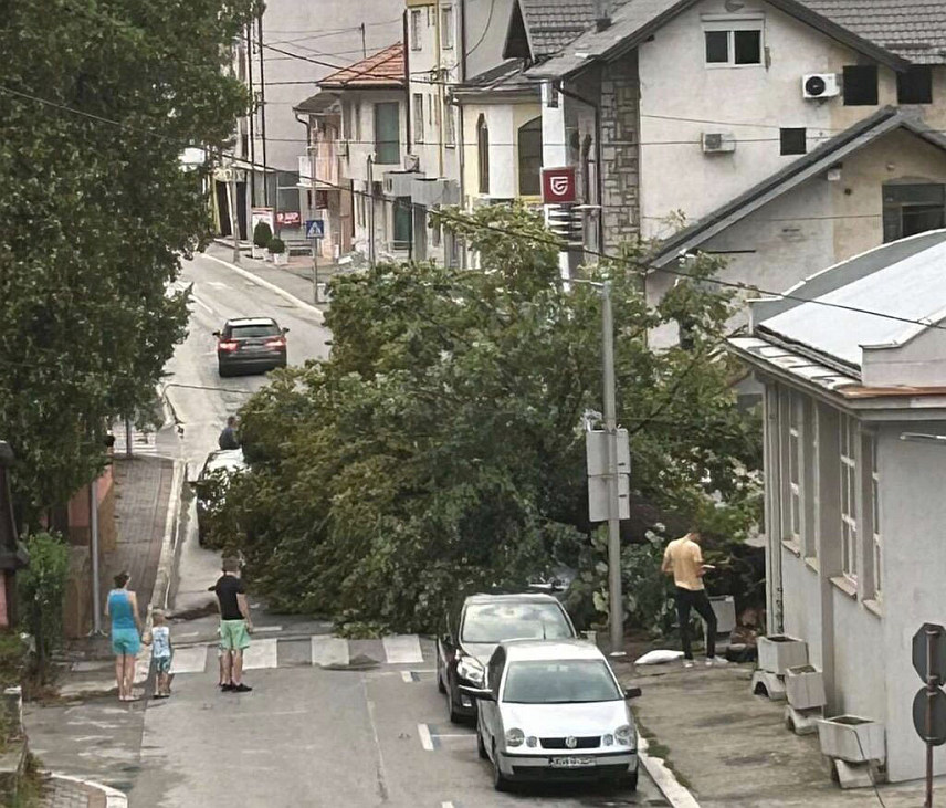 ЗВОРНИК, 14. АВГУСТА /СРНА/ - Олујно невријеме праћено кишом и ледом захватило је вечерас Зворник, нанијевши штету на пољопривредним имањима, док је са стамбених објеката носило цријеп, те рушило дрвеће и грање које је падало по аутомобилима.