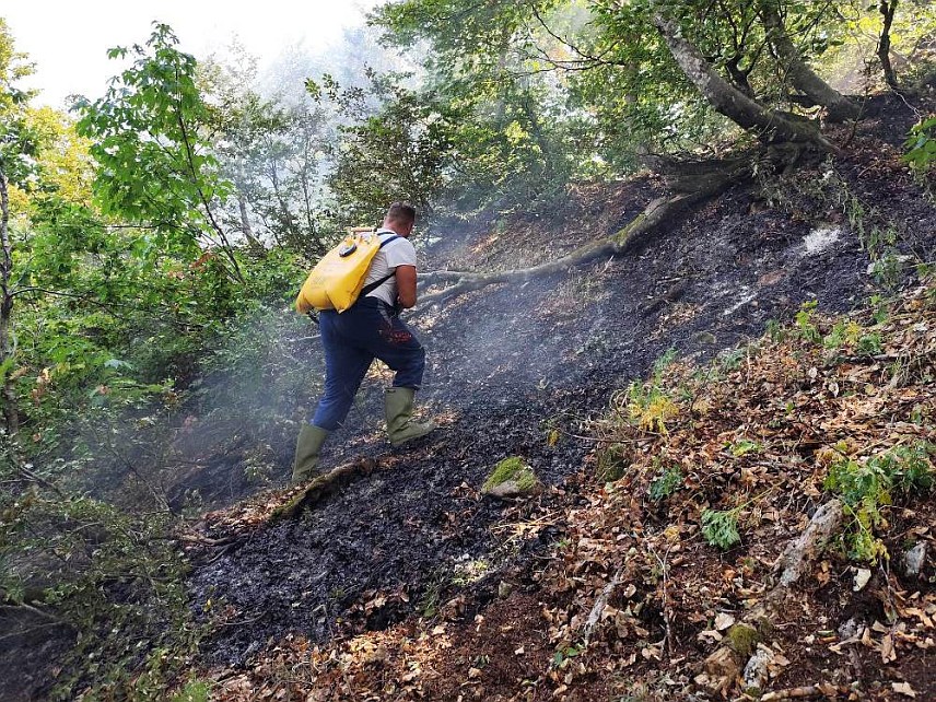 ФОЧА, 17. АВГУСТА /СРНА/ - Велики допринос гашењу пожара у Националном парку "Сутјеска" уложили су ватрогасне јединице, које су морале уложити огромне напоре да на стрмом и стјеновитом терену приступе пожаришту, а то су радници Парка, припадници Територијалне ватрогасне јединице, Добровољног ватрогасног друштва и Цивилне заштите Фоча, Спасилачког клуба "Волф", Ватрогасне јединице Илиџа.