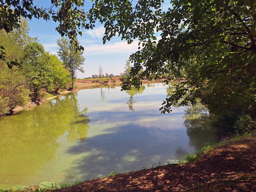 ШАМАЦ, 25. АВГУСТА /СРНА/ - Јекића језера у Обудовцу, гдје је данас одржана 11. "Котлићијада", имају изузетан туристички потенцијал, а циљ ове традиционалне манифестације је промоција ове локације као туристичке дестинације, рекао је Срни Милорад Несторовић, предсједник Еколошког друштва "Екоб", које је организатор "Котлићијаде".