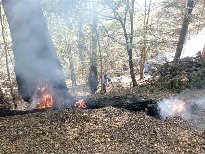 ФОЧА, 26. АВГУСТА /СРНА/ - Пожар који се поново активирао у Националном парку "Сутјеста" стављен је под контролу захваљујући брзој реакцији Хеликоптерског сервиса Републике Српске и Хеликоптерској јединици МУП-а Србије.