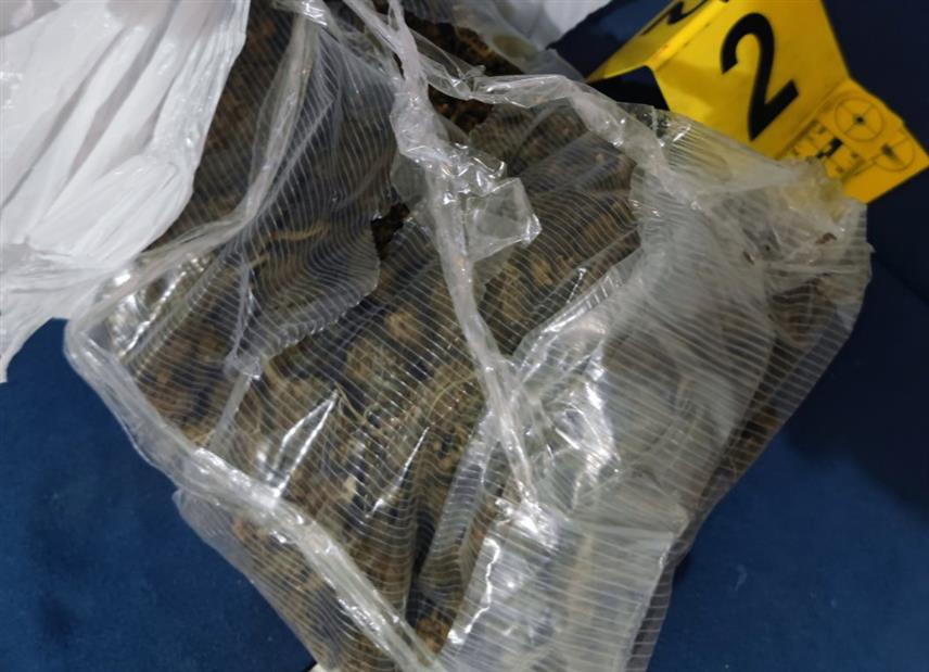 ПРИЈЕДОР, 27. АВГУСТА /СРНА/ - Претресом стамбених просторија које користи лице М.Б.М. из Приједора полицијски службеници пронашли су око 720 грама марихуане и 2,6 грама кокаина.	