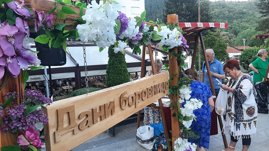 ФОЧА, 3. АВГУСТА /СРНА/ - Изложбом свјежих боровница са фочанских планина и њених прерађевина, у Фочи су почели "Дани боровнице", који ће се наставити идуће седмице у Требињу сличном презентацијом овог природног блага.