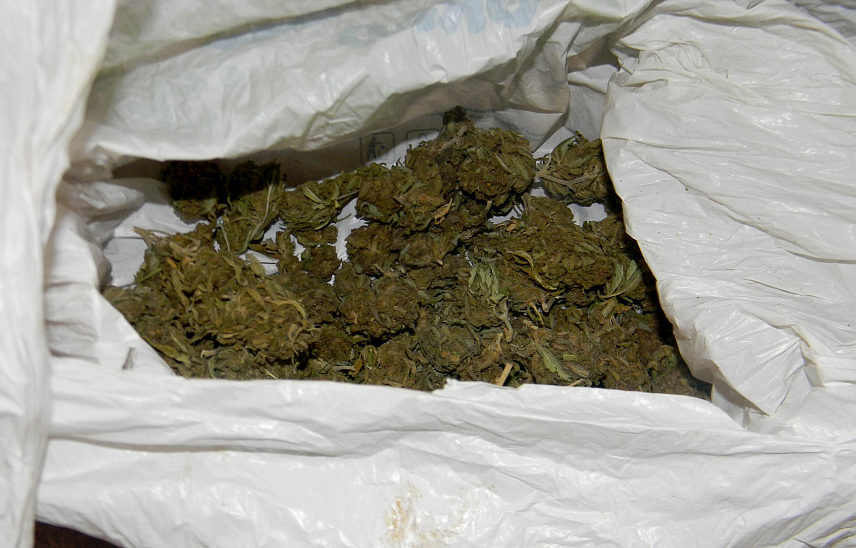 БЕОГРАД, 6. АВГУСТА /СРНА/ - У Шапцу је полиција заплијенила око 69 килограма марихуане и 54 литра канабисовог уља, и због трговине дрогом ухапсила мушкарца чији су иницијали А.С. /45/.