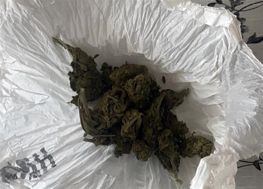 ПРИЈЕДОР, 8. АВГУСТА / СРНА/ - Приједорска полиција ухапсила је два лица чији су иницијали М.Р. и Д.Р. осумњичена за кривично дјело неовлаштена производња и промет дрога.