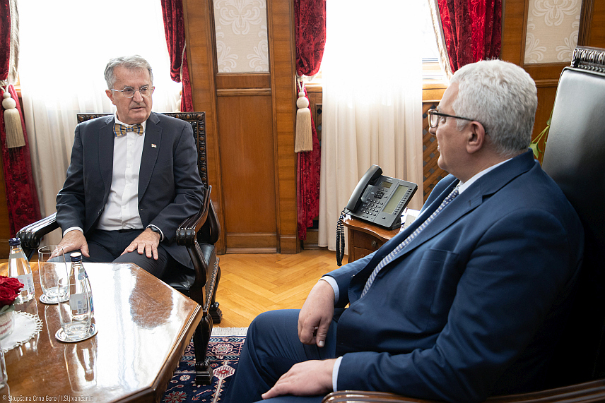 ПОДГОРИЦА, 11. СЕПТЕМБРА /СРНА/ - Састанак предсједника Скупштине Црне Горе Андрије Мандића са амбасадором Републике Србије Небојшом Родићем.