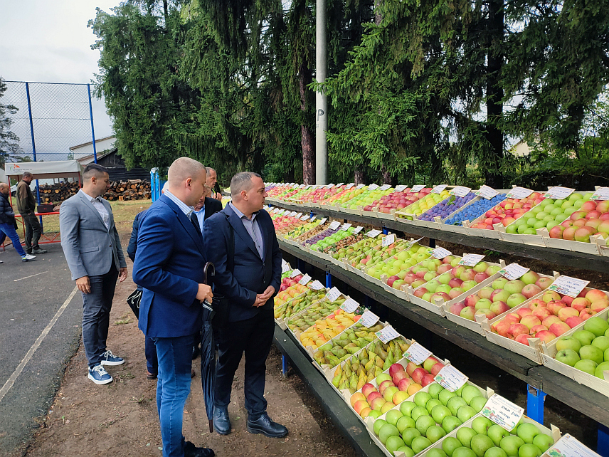 ГРАДИШКА, 13. СЕПТЕМБРА /СРНА/ - Више од 100 воћара са подручја Градишке, Приједора, Козарске Дубице и Костајнице изложило је данас своје производе на манифестације 19. Дани воћа "Поткозарје 2024" у Горњим Подградцима.