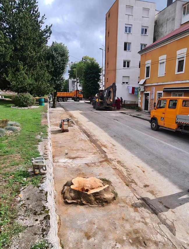 ГАЦКО, 14. СЕПТЕМБРА /СРНА/ - Општински одбор /ОО/ СНСД-а Гацко најоштрије је осудио сјечу дрвореда и неразумно уништавање и скрнављење главне улице у овој општини.	