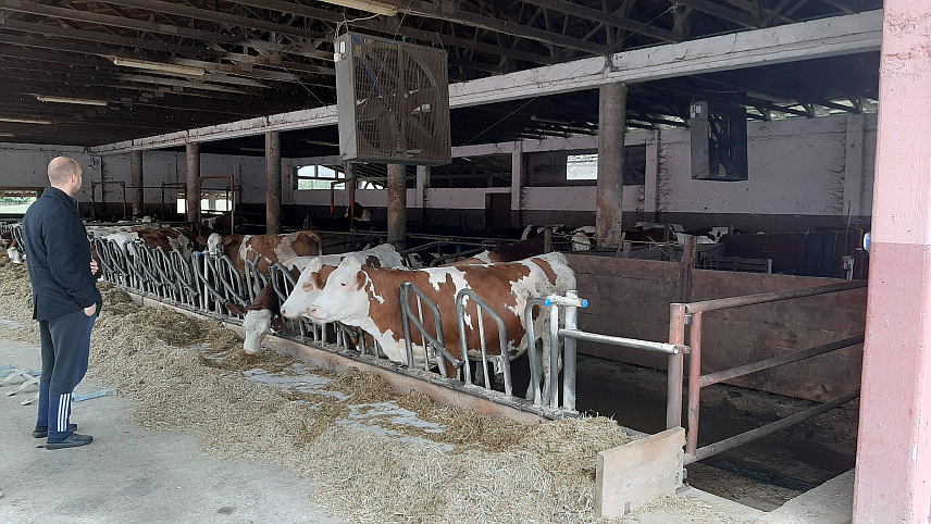 ПРЊАВОР, 18. СЕПТЕМБРА /СРНА/ - Инжењер пољопривреде Давид Јокић из Велике Илове код Прњавора након завршетка студија у Бањалуци вратио се у своје село и раме уз раме са дједом Драганом и оцем Златком наставио рад на породичној фарми која постоји од 1980. године.