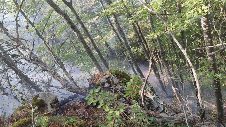 СРЕБРЕНИЦА, 3. СЕПТЕМБРА /СРНА/ - Пожар који је избио на локалитету Пољанци-Стари град у сребреничкој мјесној заједници Лука, на подручју Националног парка "Дрина", пријети да се прошири на дио који је обрастао аутохтоном ендемичном врстом Панчићеве оморике.
