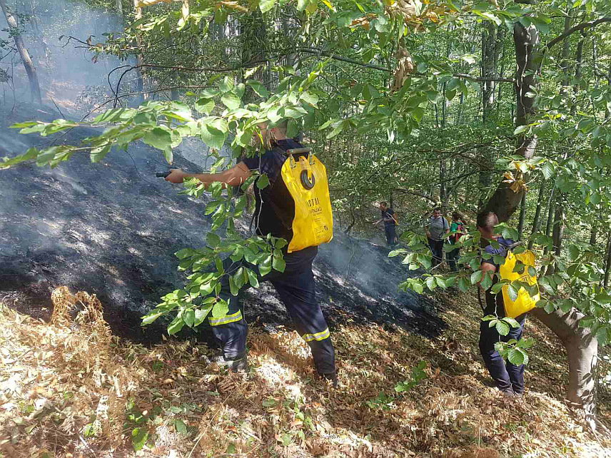 ЛОПАРЕ, 4. СЕПТЕМБРА /СРНА/ - Више од 60 ватрогасаца и радника Шумског газдинства у Лопарама учествује у гашењу пожара на планини Мајевици, а затражено је и ангажовање хеликоптера.