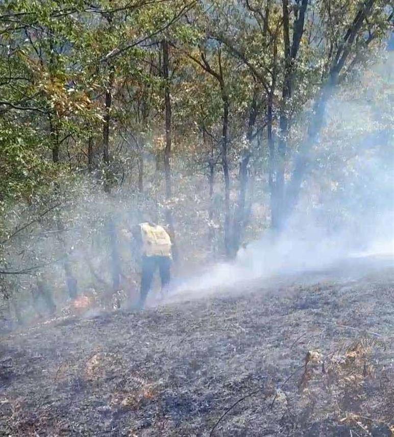 МИЛИЋИ, 4. СЕПTЕМБРА /СРНА/ - Милићки ватрогасци угасили су пожар у селу Горње Рашево који је пријетио кућама.