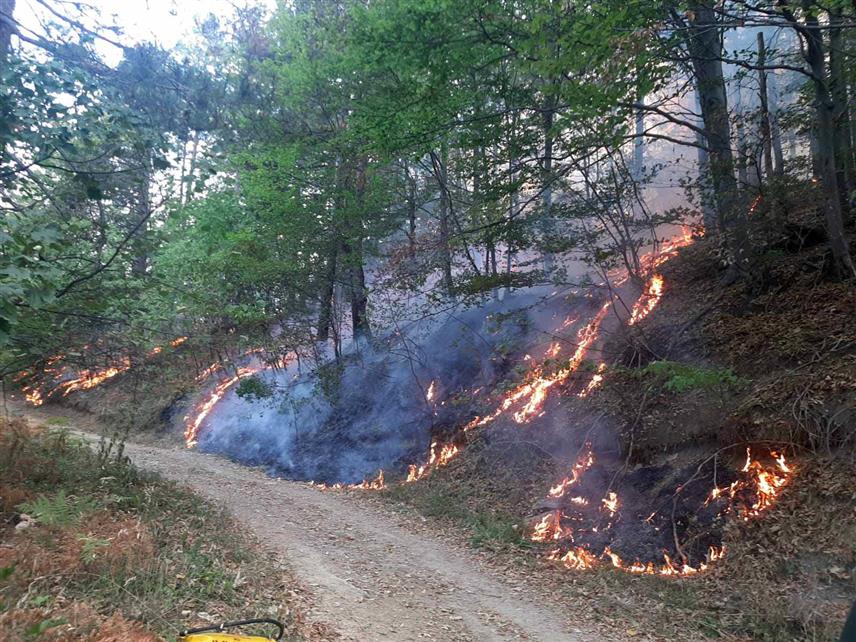 ЛОПАРЕ, 4. СЕПТЕМБРА /СРНА/ - Шумски пожар распламсао се на простору Мајевице између Липовица и Бусије и захватио је површину од неколико десетина хектара.