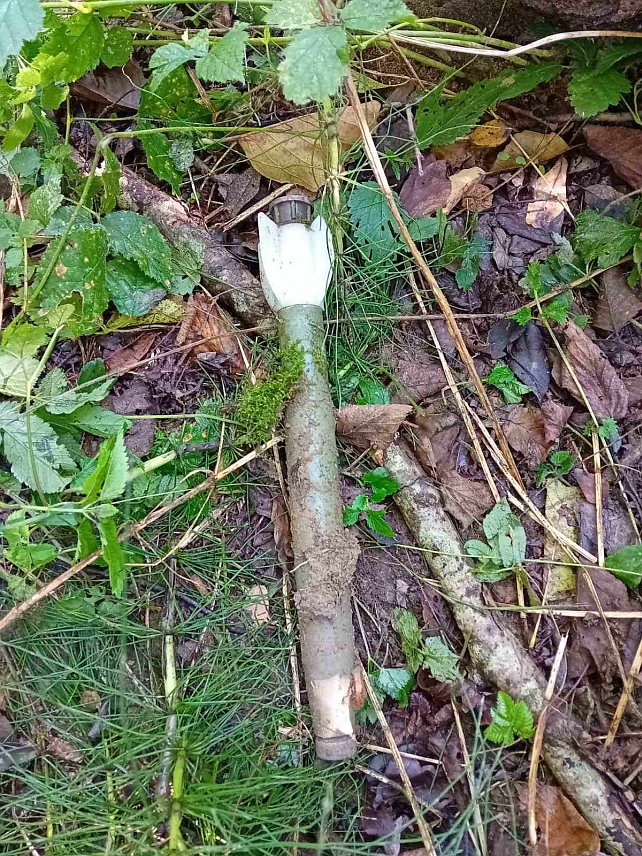 НОВИ ГРАД, 6. СЕПТЕМБРА /СРНА/ - Деминерски тим Републичке управе Цивилне заштите уклонио је данас тромблонску мину из потока у насељу Добрљин код Новог Града.