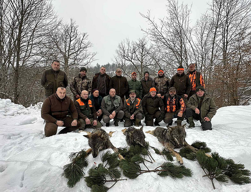 ТЕСЛИЋ, 20. ЈАНУАРА /СРНА/ - Три вука одстрељена су у Јаворови на подручју општине Теслић, потврђено је Срни у Ловачком удружењу "Тетријеб".