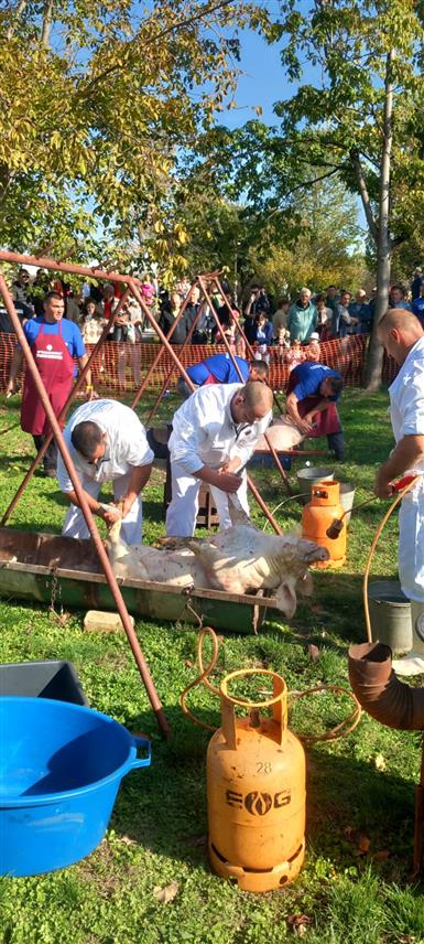 БОСАНСКИ ПЕТРОВАЦ, 24. ЈАНУАРА /СРНА/ - У Бравску код Босанског Петровца данас је отворен десети јубиларни Фестивал грмечке кобасице који организује Удружења грађана "Рурални развој" Дринић.