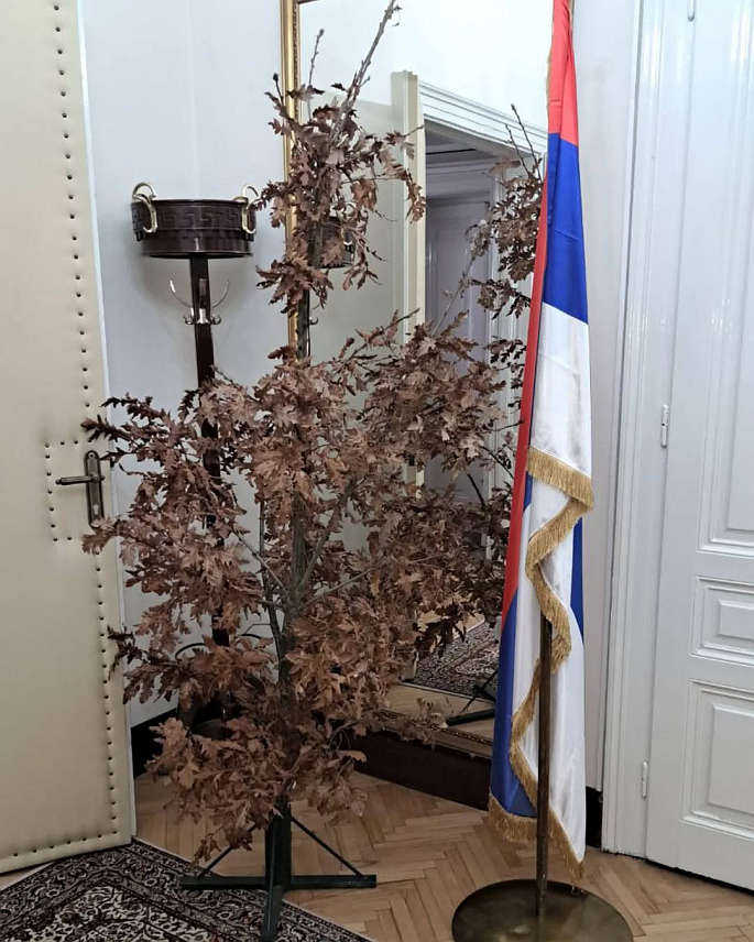 САРАЈЕВО, 6. ЈАНУАРА /СРНА/ - Српски члан Предсједништва БиХ Жељка Цвијановић истакла је да је традиционално, како налажу обичаји, јутрос у кабинет српског члана Предсједништва БиХ у Сарајеву унесен бадњак.