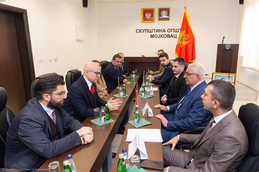 ПОДГОРИЦА, 8. ЈАНУАРА /СРНА/ - Предсједник Скупштине Црне Горе Андрија Мандић и предсједник Владе Србије Милош Вучевић на састанку у Подгорици.