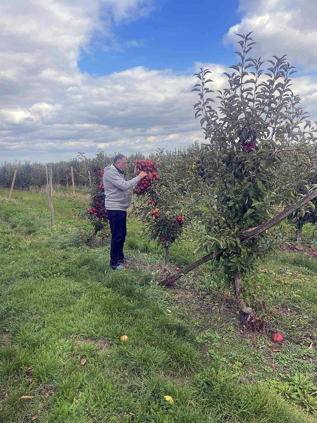 ЛАКТАШИ, 12. ОКТОБРА /СРНА/ - Предсједник Републике Српске Милорад Додик указао је на то да је ова година била лоша за воћаре у Републици Српској, а да је род јабуке преполовљен.