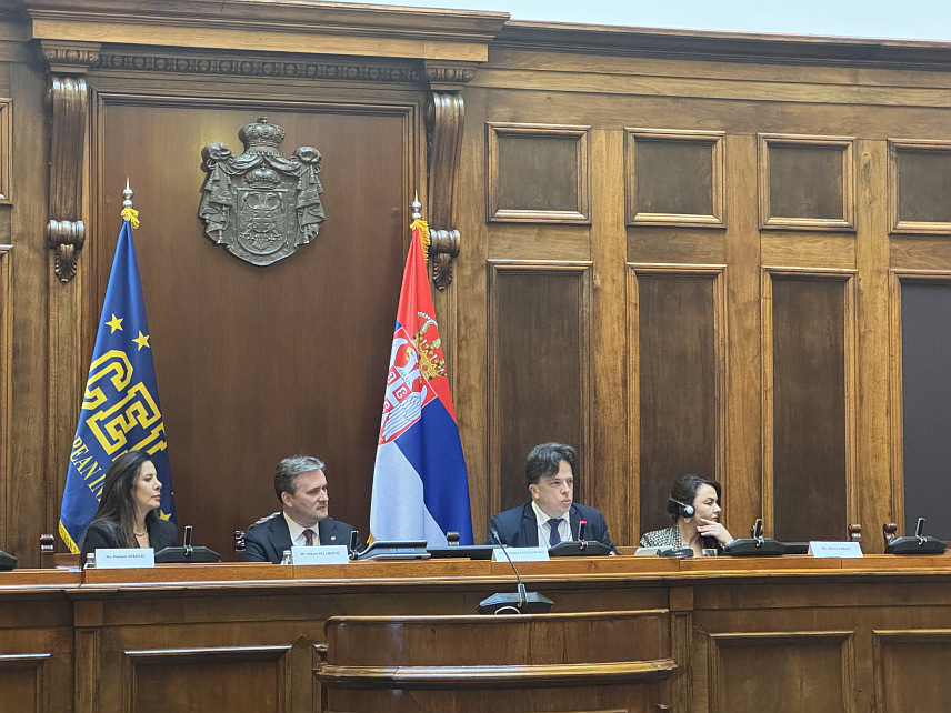 БЕОГРАД, 5. НОВЕМБРА /СРНА/ - Министар културе Србије Никола Селаковић је на састанку Парламентарне скупштине Парламентарне димензије Централноевропске иницијативе /ЦЕИ/ у Београду нагласио значај заштите угроженог српског културног насљеђа на Косову и Метохији и упозорио на континуиране нападе на српске светиње, покушаје њихове узурпације, преименовања и културоцид.