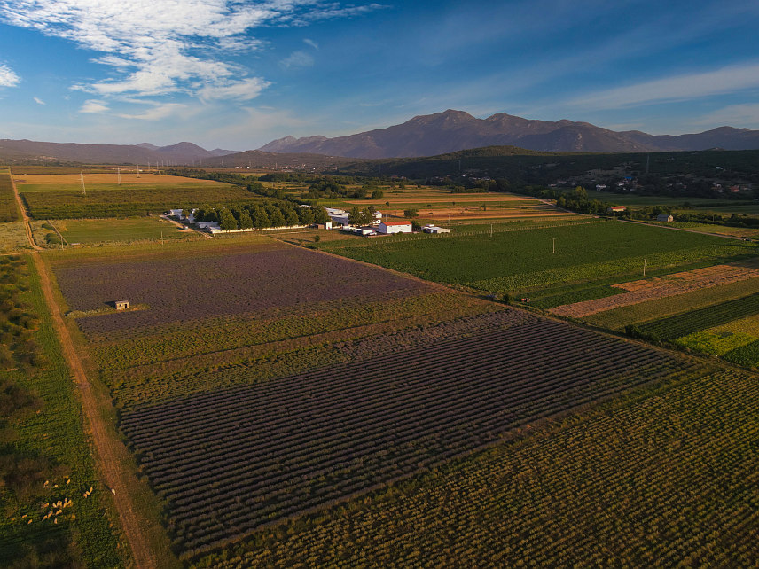 ЉУБИЊЕ, 5. НОВЕМБРА – Компанија "Љбиље" из Љубиња узгаја око 15 различитих биљних врста од којих настају етерична уља, чајеви и природна козметика, а производи високог квалитета пласирају се у земље региона, уз план освајања нових тржишта, рекла је Срни технички директор компаније Слободанка Поповић.