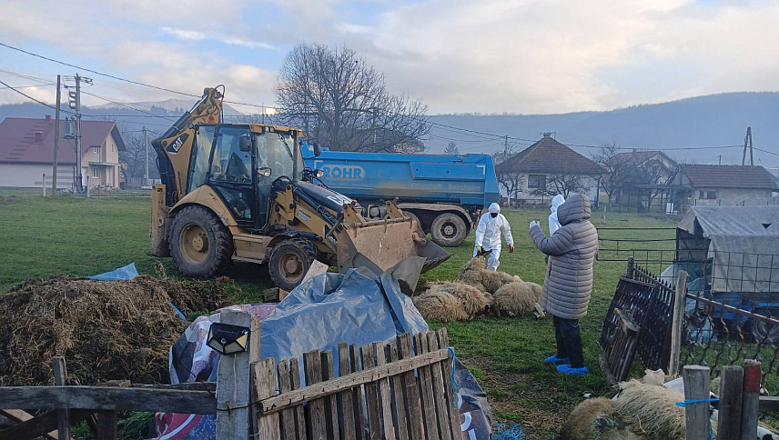 ПАЛЕ, 19. ДЕЦЕМБРА /СРНА/ - У општини Источна Илиџа еутаназирано је једно стадо оваца због бруцелозе, која је потврђена протекле седмице.