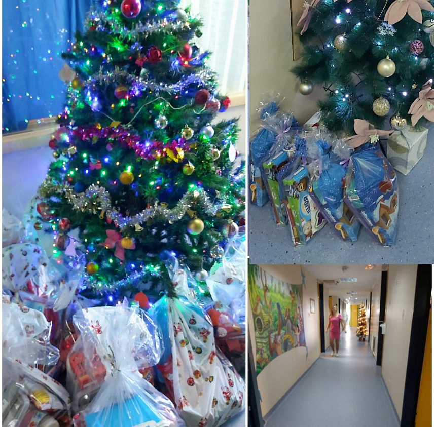 БАЊАЛУКА, 19. ДЕЦЕМБРА /СРНА/ - Запослени у Палати Републике Српске данас су, поводом Никољдана, обрадовали пакетићима најмлађе пацијенте Универзитетског клиничког центра /УКЦ/ Републике Српске.