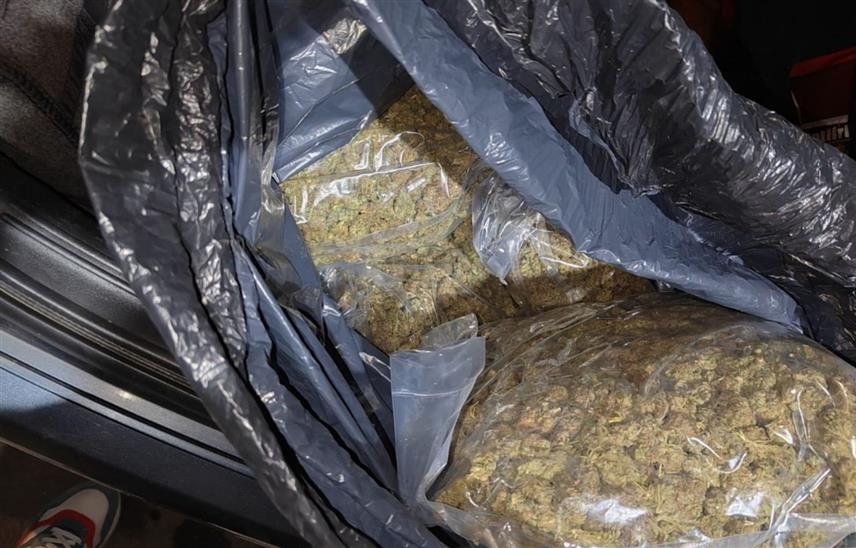 БЕОГРАД, 12. ФЕБРУАРА /СРНА/ - Новосадска полиција заплијенила је више од сто килограма марихуане и више од четири килограма кокаина, што је једна од највећих пљенидби посљедњих мјесеци.	