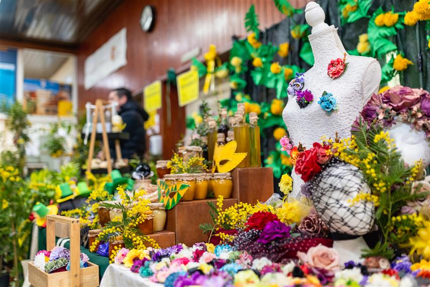 ПОДГОРИЦА, 14. ФЕБРУАРА /СРНА/ - Tрадиционална манифестација "Празника мимозе" – Изложба цвијећа отворена је данас у изложбеном простору Института "Др Симо Милошевић", а ове године представило се више од 50 излагача из Црне Горе, Србије и БиХ.