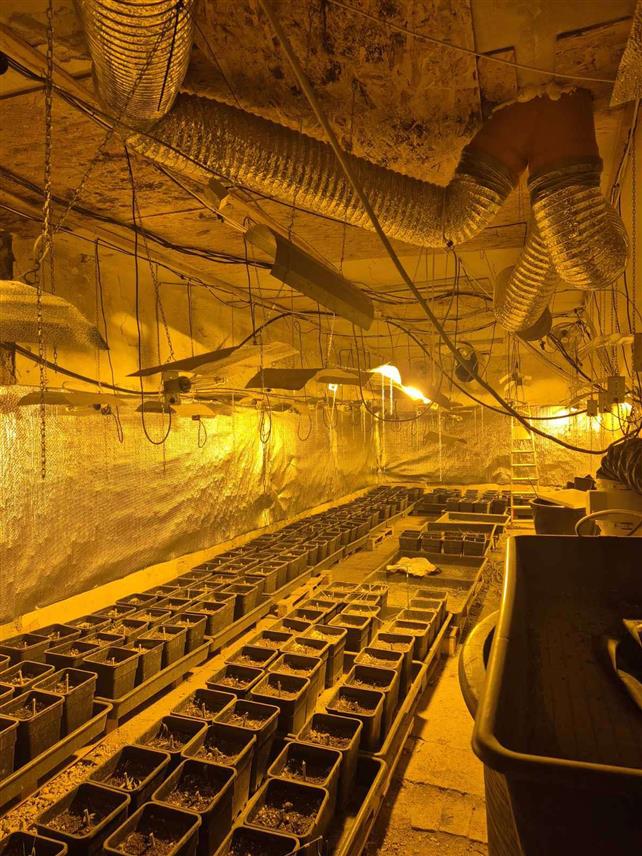 ИСТОЧНО САРАЈЕВО, 16. МАРТА /СРНА/ - Полиција је на Сокоцу пронашла лабораторију и више од пет килограма марихуане, те ухапсила два лица чији су иницијали В.Ц. и М.К.