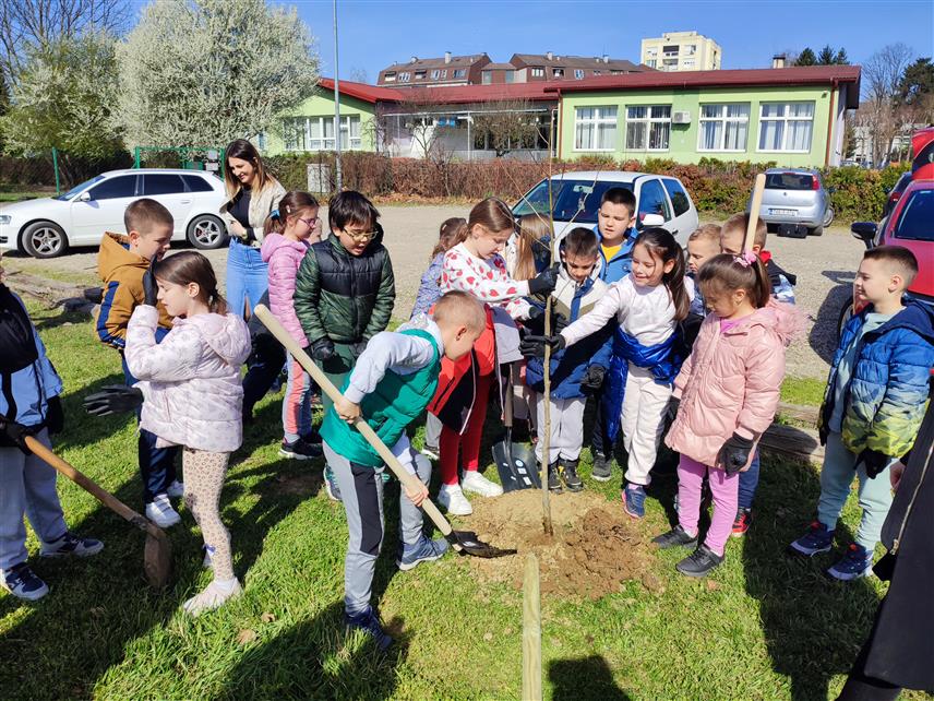 ГРАДИШКА, 21. МАРТА /СРНА/ - Садњом 20 младих стабала ликвидамбара у парку код Спортско-рекреативног центра "Сењак" у Градишци, ученици основних школа обиљежили су данас Свјетски дан шума.